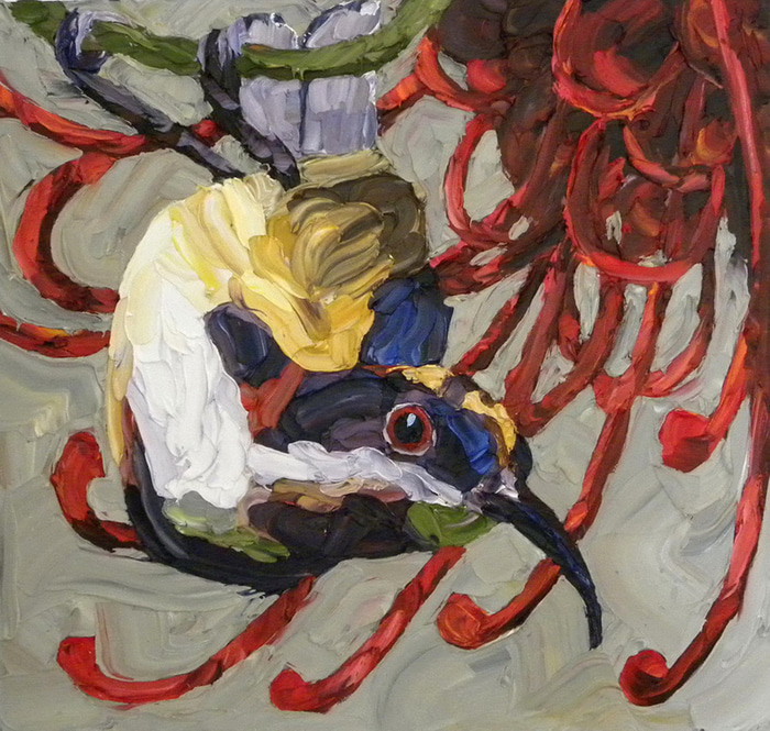 Spinebill on Grevillea by Jodie Wells | Lethbridge Gallery